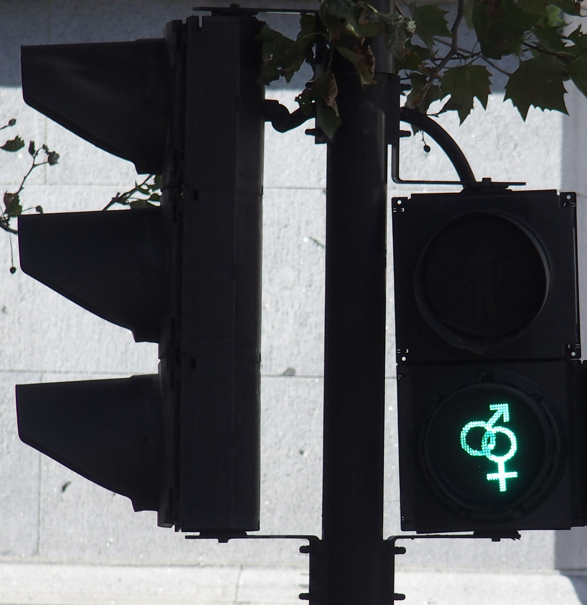 Transgender Pedestrian Lights Freedom For Drivers FoundationFreedom transgender-pedestrian-lights-freedom-for-drivers-foundationfreedom